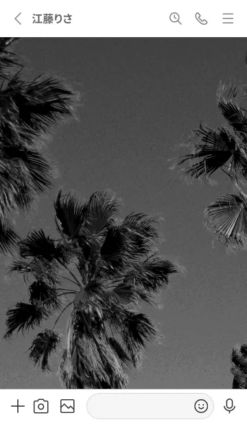 [LINE着せ替え] モノクロのトロピカルなヤシの風景が癒す☆の画像2