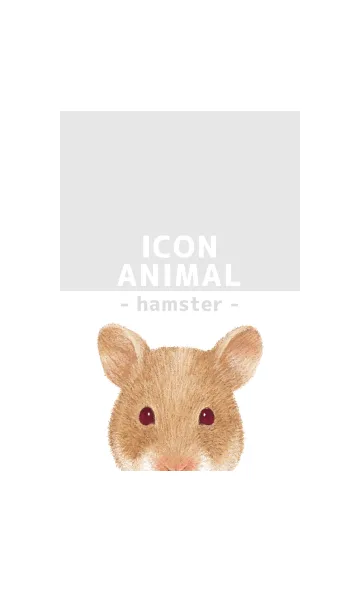 [LINE着せ替え] ICON ANIMAL - ゴルハム - GRAY/05の画像1