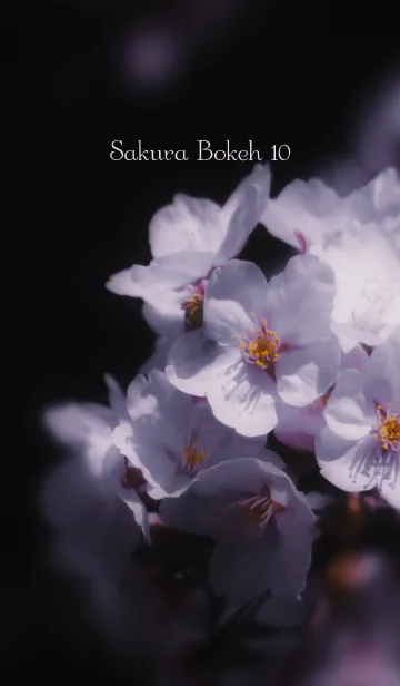 [LINE着せ替え] SakuraBokeh 10の画像1