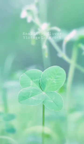 [LINE着せ替え] 四つ葉のクローバー Vintage Lens #6-8の画像1