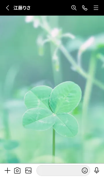 [LINE着せ替え] 四つ葉のクローバー Vintage Lens #6-8の画像2