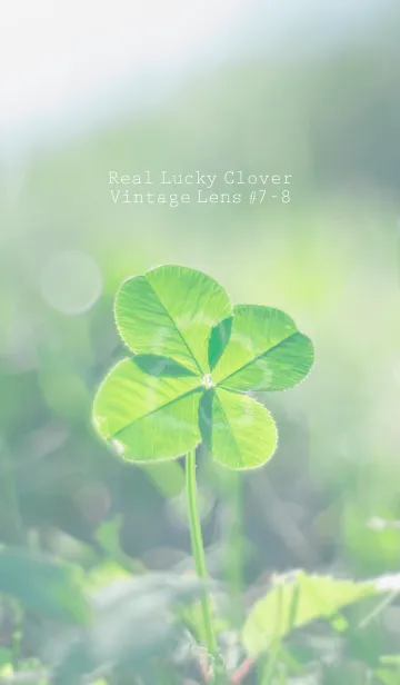 [LINE着せ替え] 四つ葉のクローバー Vintage Lens #7-8の画像1