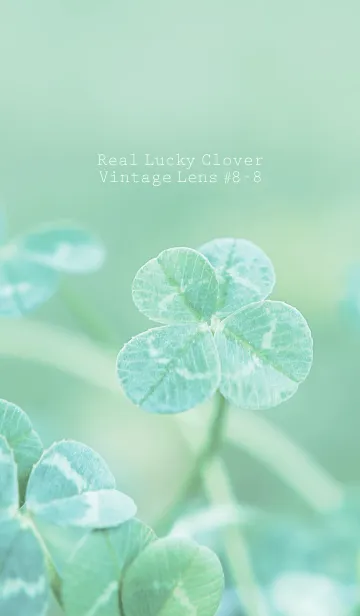 [LINE着せ替え] 四つ葉のクローバー Vintage Lens #8-8の画像1