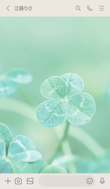 [LINE着せ替え] 四つ葉のクローバー Vintage Lens #8-8の画像2