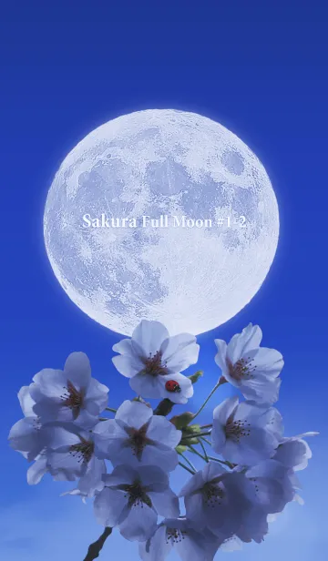[LINE着せ替え] Sakura Full Moon #1-2の画像1