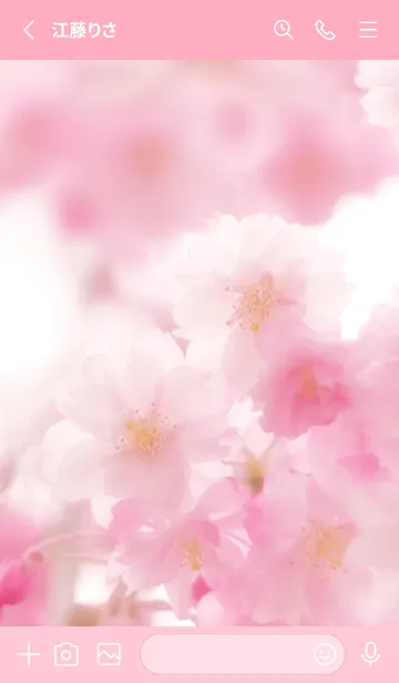 [LINE着せ替え] SakuraBokeh 11の画像2