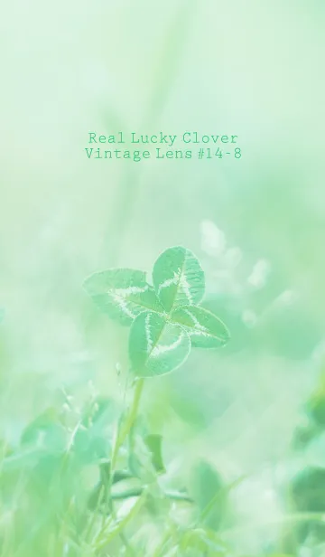 [LINE着せ替え] 四つ葉のクローバー Vintage Lens #14-8の画像1