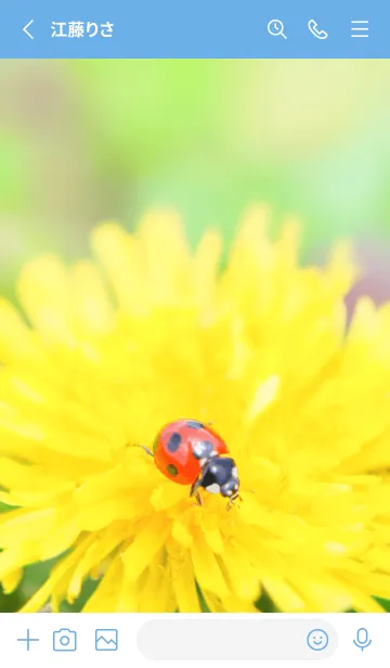 [LINE着せ替え] Ladybird Symbol of good luck #3-1の画像2