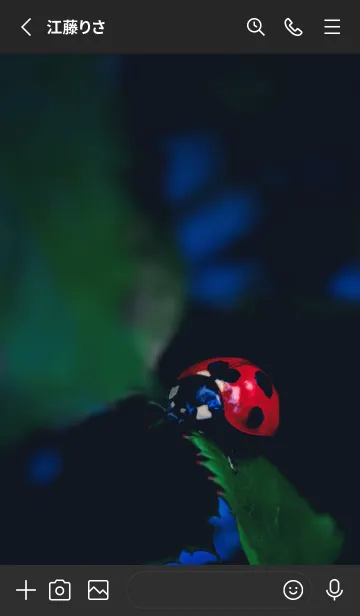 [LINE着せ替え] Ladybird Symbol of good luck #4-1の画像2