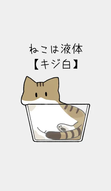 [LINE着せ替え] ねこは液体【キジ白猫】の画像1