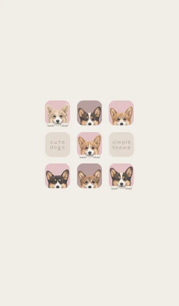 [LINE着せ替え] DOGS - コーギー01 - ピンクグレーの画像1