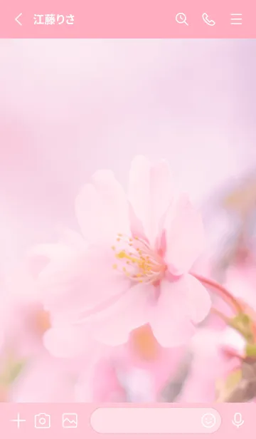 [LINE着せ替え] SakuraBokeh 13の画像2