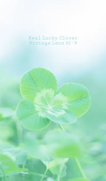 [LINE着せ替え] 四つ葉のクローバー Vintage Lens #2-9の画像1