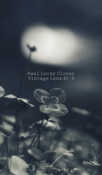 [LINE着せ替え] 四つ葉のクローバー Vintage Lens #5-9の画像1
