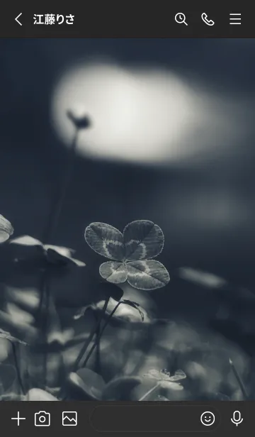 [LINE着せ替え] 四つ葉のクローバー Vintage Lens #5-9の画像2