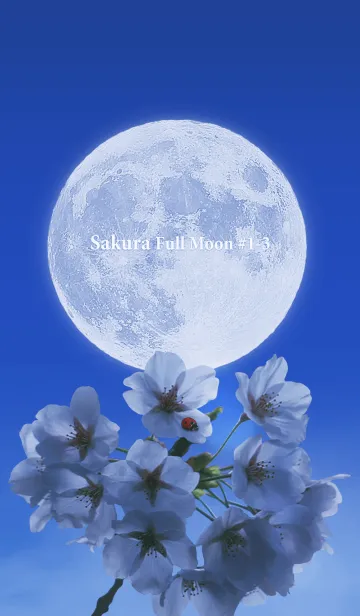 [LINE着せ替え] Sakura Full Moon #1-3の画像1