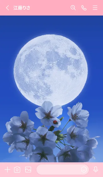 [LINE着せ替え] Sakura Full Moon #1-3の画像2