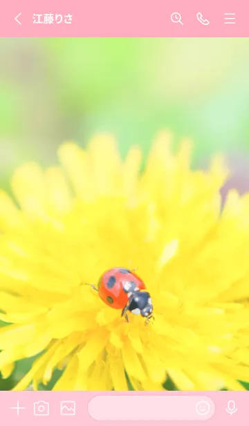 [LINE着せ替え] Ladybird Symbol of good luck #3-2の画像2