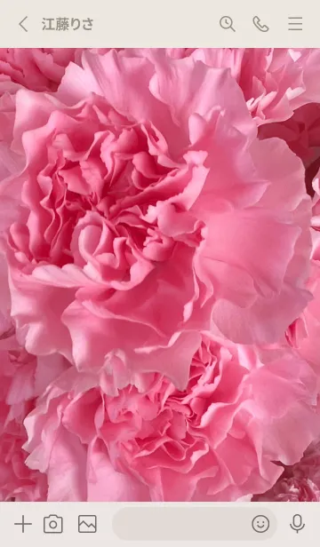 [LINE着せ替え] FLOWER-CARNATION 25の画像2