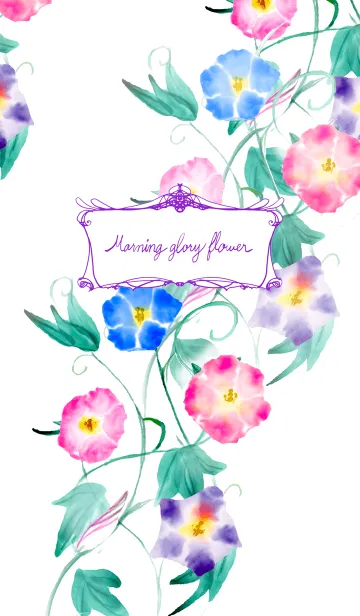[LINE着せ替え] Morning glory flowerの画像1