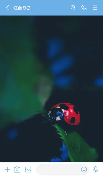 [LINE着せ替え] Ladybird Symbol of good luck #4-2の画像2