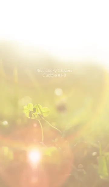 [LINE着せ替え] 四つ葉のクローバー Cuddle #1-8の画像1