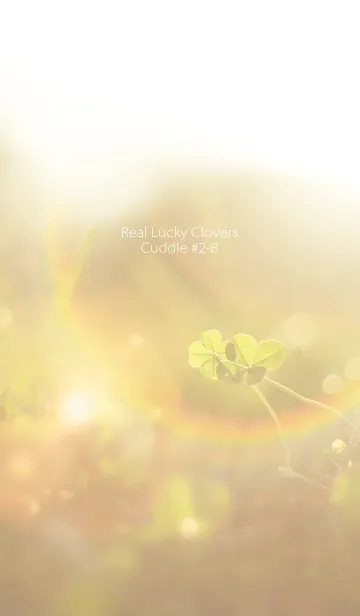 [LINE着せ替え] 四つ葉のクローバー Cuddle #2-8の画像1