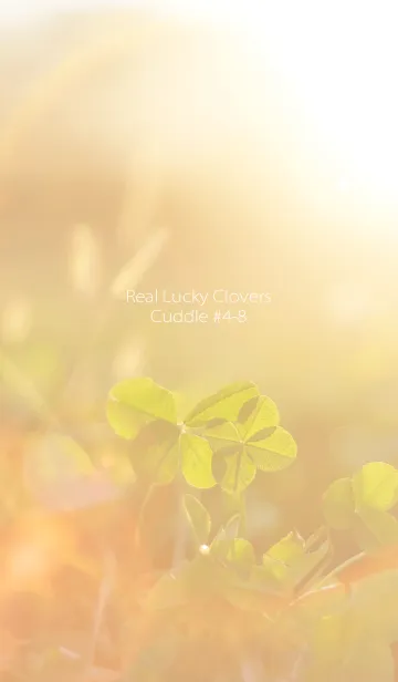 [LINE着せ替え] 四つ葉のクローバー Cuddle #4-8の画像1