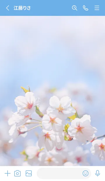 [LINE着せ替え] SakuraBokeh 15の画像2