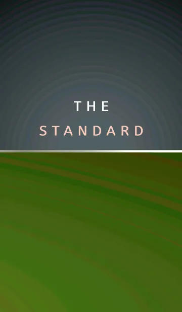 [LINE着せ替え] スタンダード /148の画像1