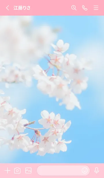 [LINE着せ替え] SakuraBokeh 16の画像2