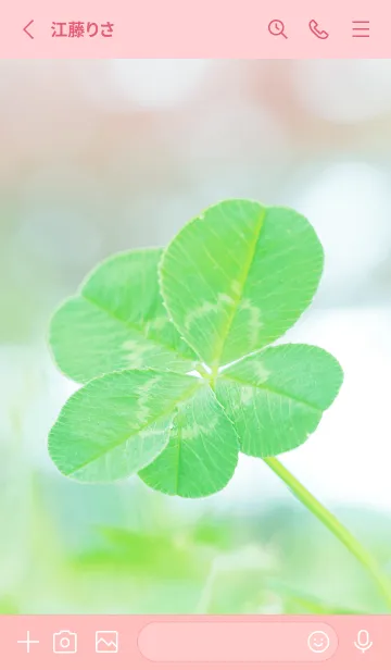 [LINE着せ替え] 四つ葉のクローバー Vintage Lens #1-10の画像2