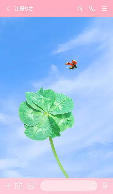 [LINE着せ替え] 七つ葉のクローバーとテントウムシ #6-2の画像2