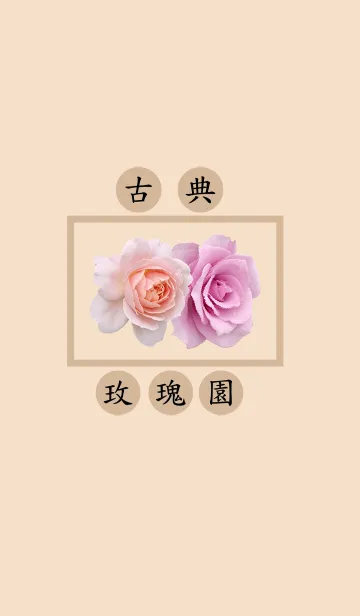 [LINE着せ替え] 2023 Rose in Taipei IIの画像1