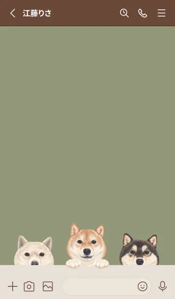[LINE着せ替え] ワンワン！- 柴犬 - オリーブの画像2
