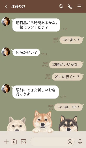 [LINE着せ替え] ワンワン！- 柴犬 - オリーブの画像3
