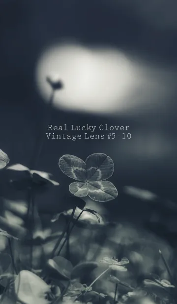 [LINE着せ替え] 四つ葉のクローバー Vintage Lens #5-10の画像1