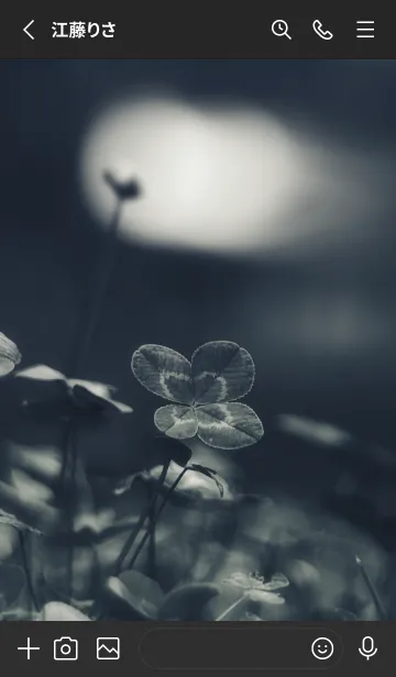 [LINE着せ替え] 四つ葉のクローバー Vintage Lens #5-10の画像2