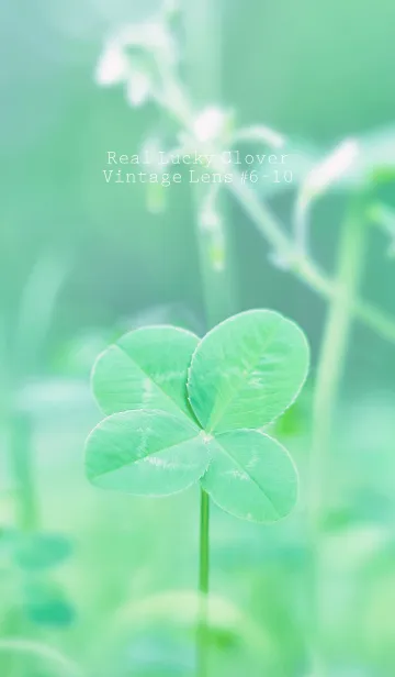 [LINE着せ替え] 四つ葉のクローバー Vintage Lens #6-10の画像1