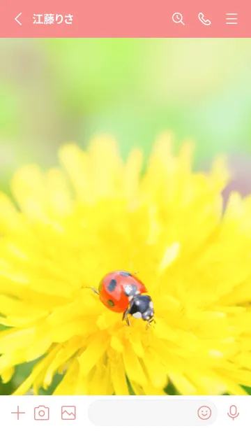 [LINE着せ替え] Ladybird Symbol of good luck #3-3の画像2