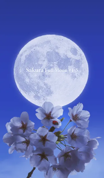 [LINE着せ替え] Sakura Full Moon #1-5の画像1