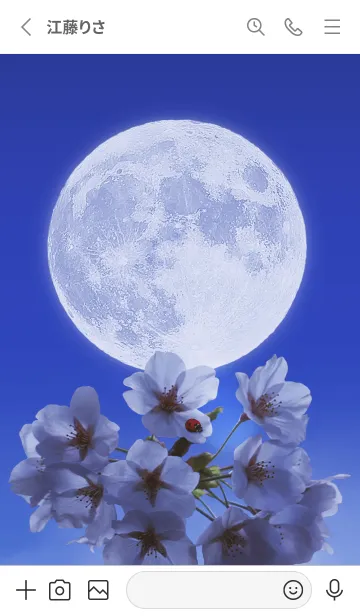 [LINE着せ替え] Sakura Full Moon #1-5の画像2