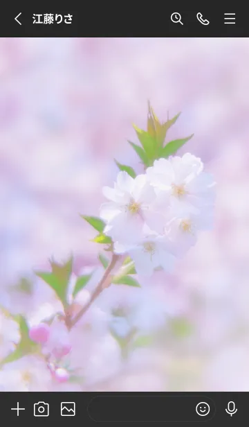 [LINE着せ替え] SakuraBokeh 18の画像2