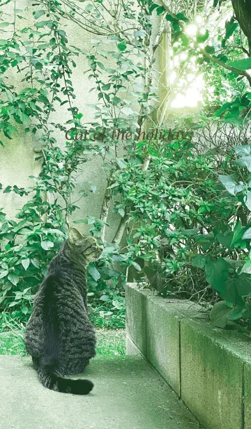 [LINE着せ替え] Cat of the holiday-MEKYM 13の画像1