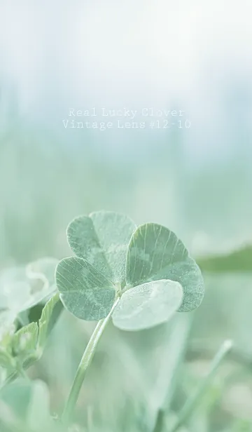 [LINE着せ替え] 四つ葉のクローバー Vintage Lens #12-10の画像1