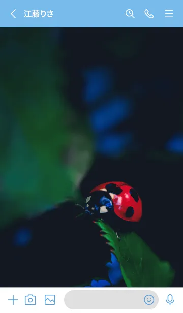 [LINE着せ替え] Ladybird Symbol of good luck #4-3の画像2