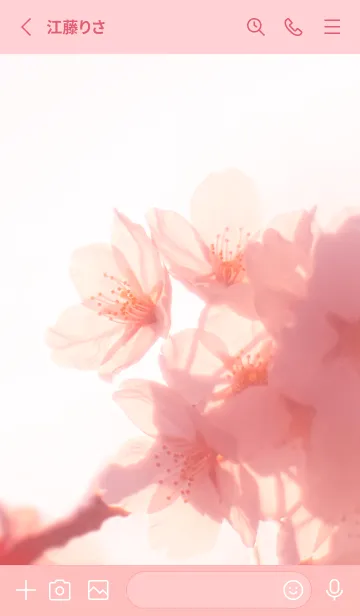 [LINE着せ替え] SakuraBokeh 19の画像2