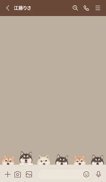 [LINE着せ替え] DOGS - 柴犬 - ベージュグレーの画像2