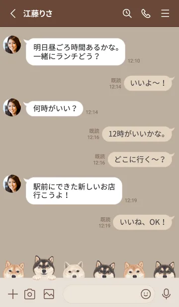 [LINE着せ替え] DOGS - 柴犬 - ベージュグレーの画像3