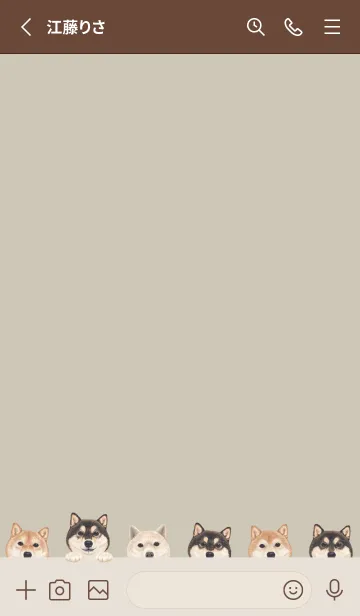 [LINE着せ替え] DOGS - 柴犬 - グリーングレーの画像2